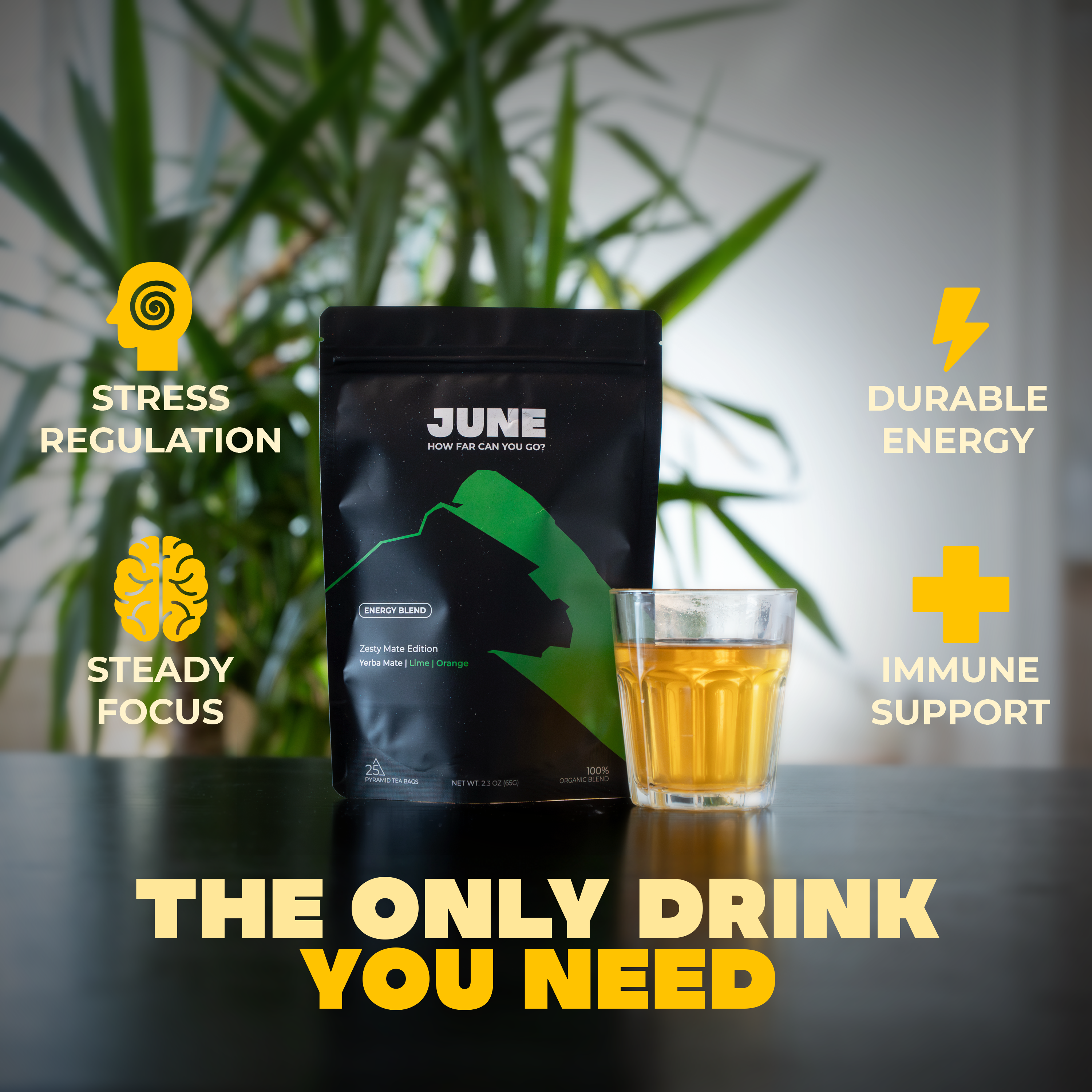 Zesty Mate