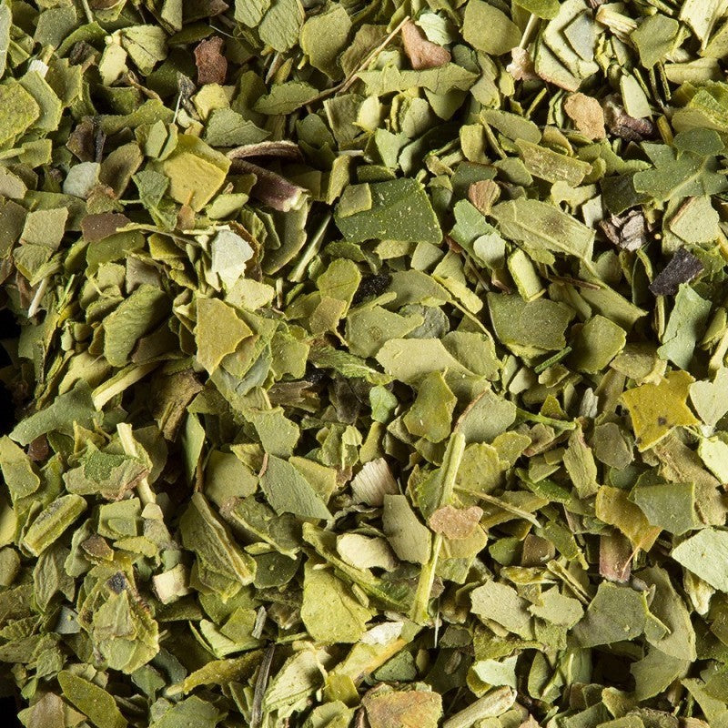 YERBA MATÉ